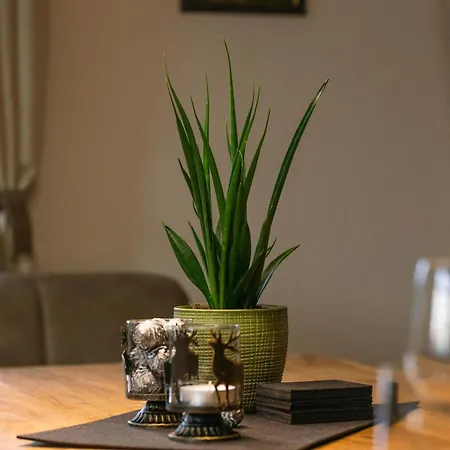 Prázdninový dům 1593