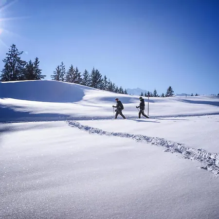 1593 Prázdninový dům Vandans