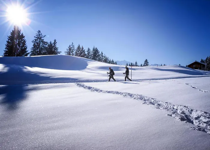 1593 Ferienhaus Vandans